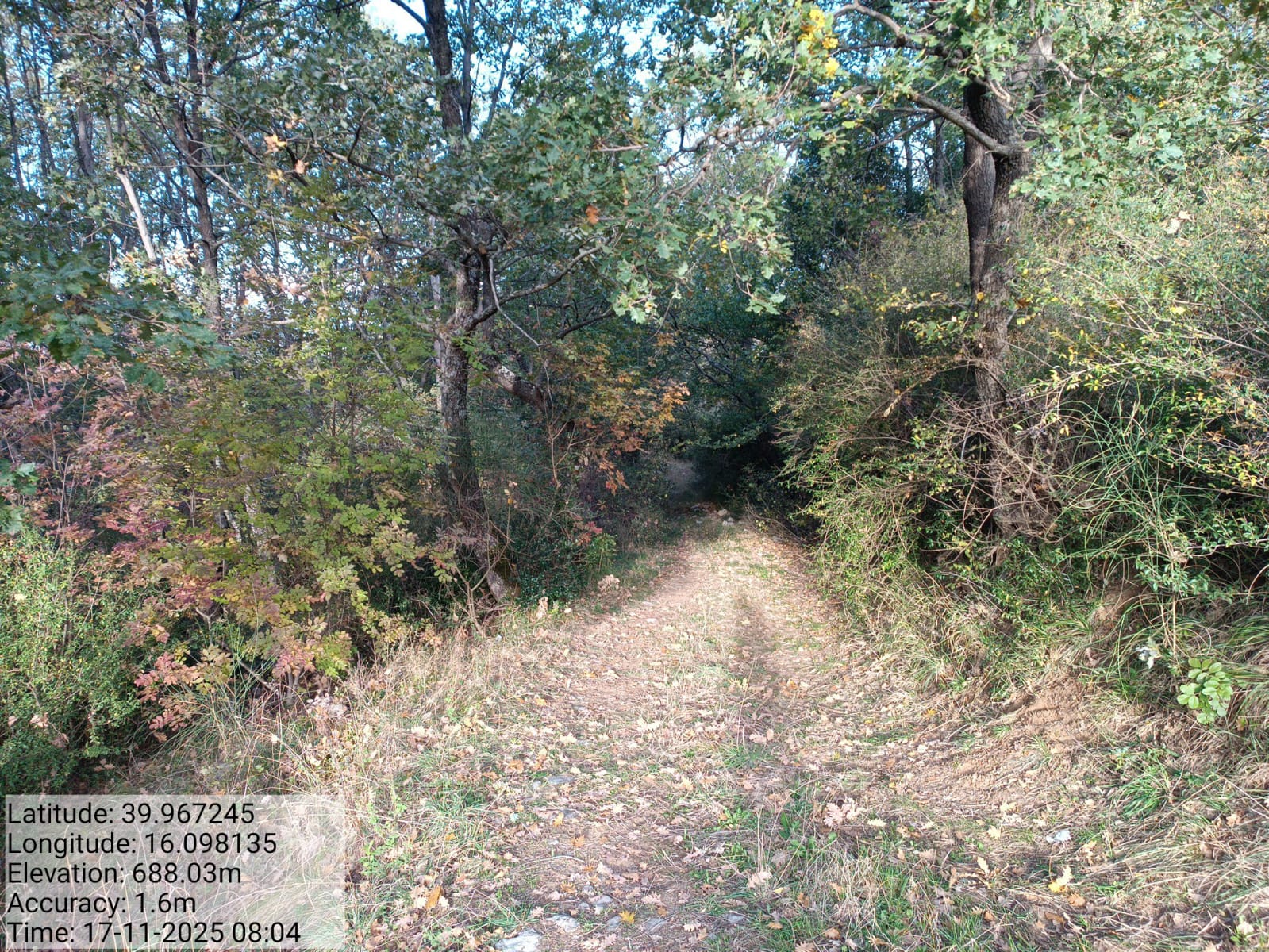 Galleria Fotografica Immagine