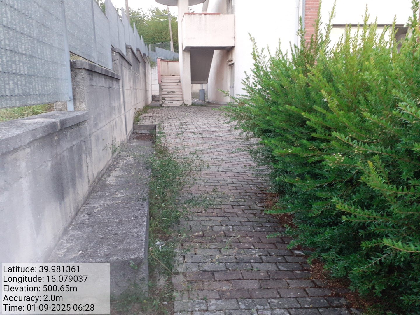 Galleria Fotografica Immagine