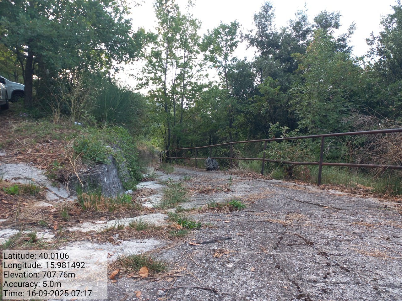 Galleria Fotografica Immagine