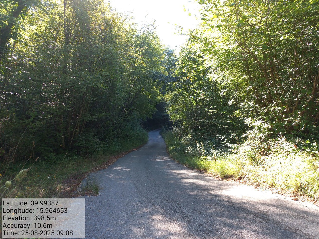 Galleria Fotografica Immagine