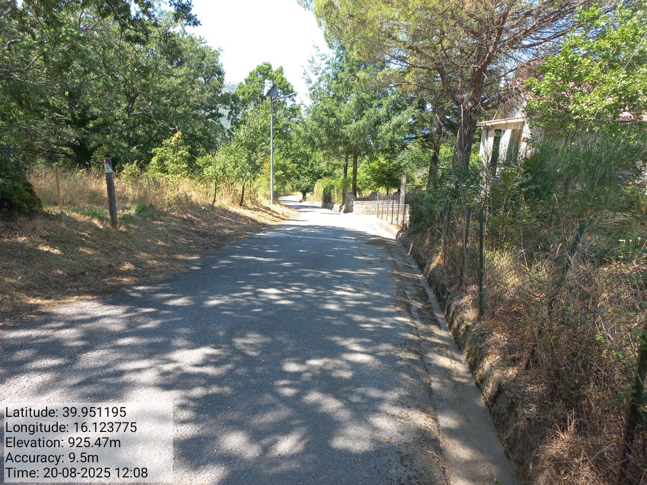 Galleria Fotografica Immagine