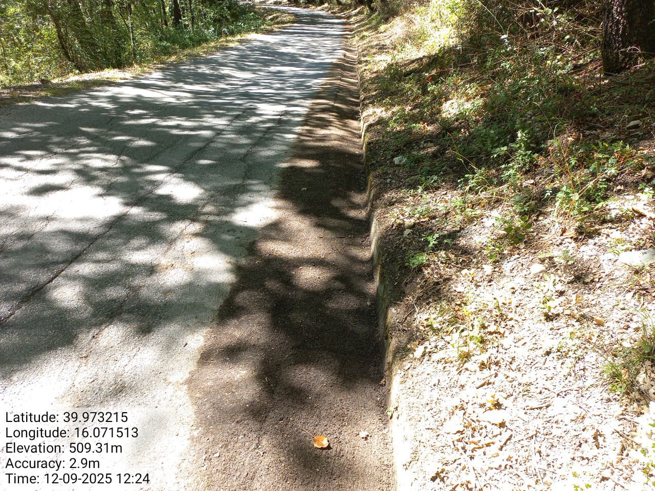 Galleria Fotografica Immagine