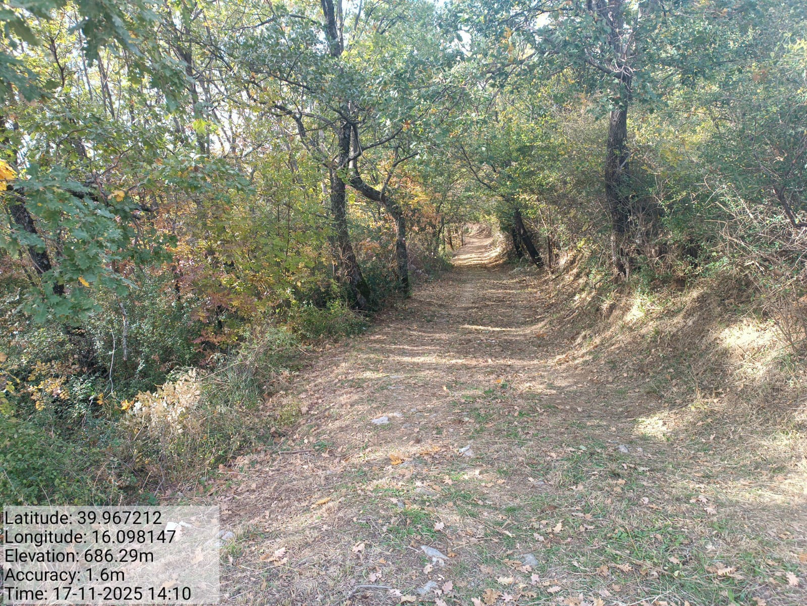 Galleria Fotografica Immagine