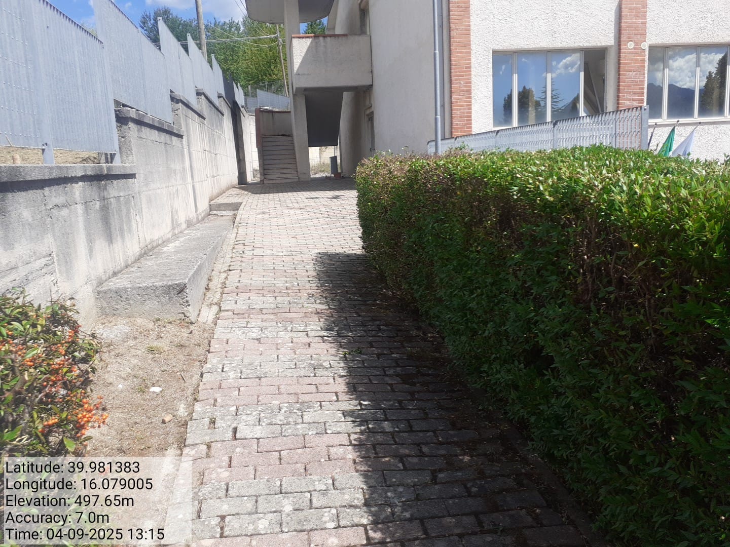 Galleria Fotografica Immagine