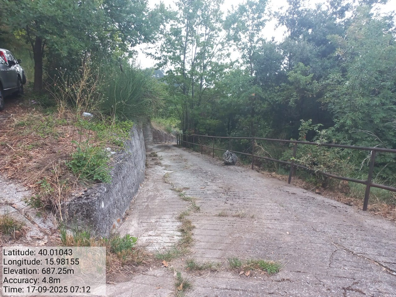 Galleria Fotografica Immagine