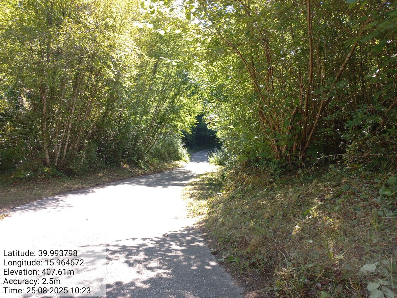 Galleria Fotografica Immagine