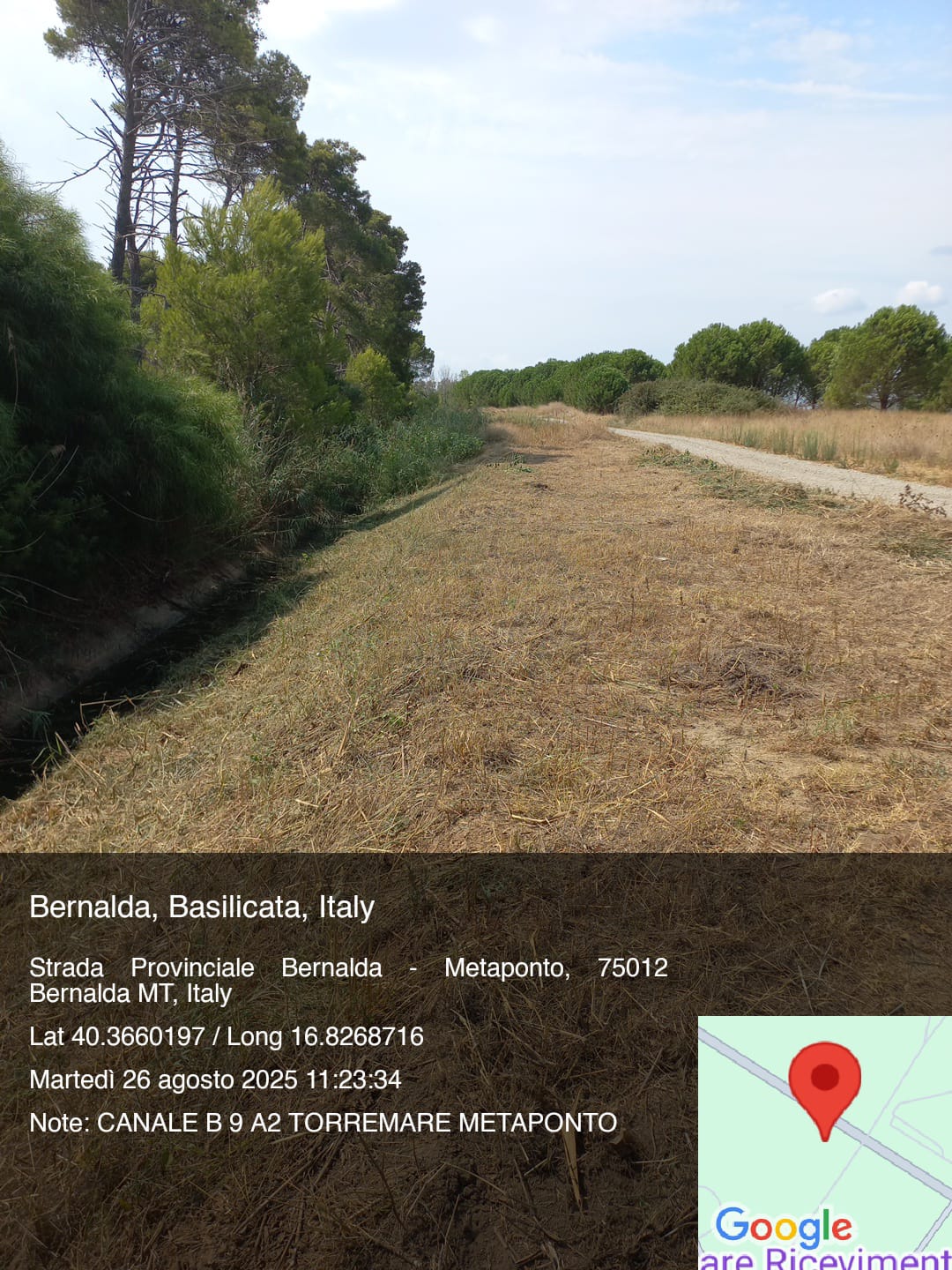 Galleria Fotografica Immagine