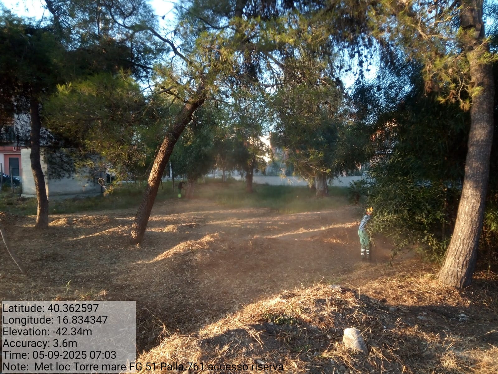 Galleria Fotografica Immagine