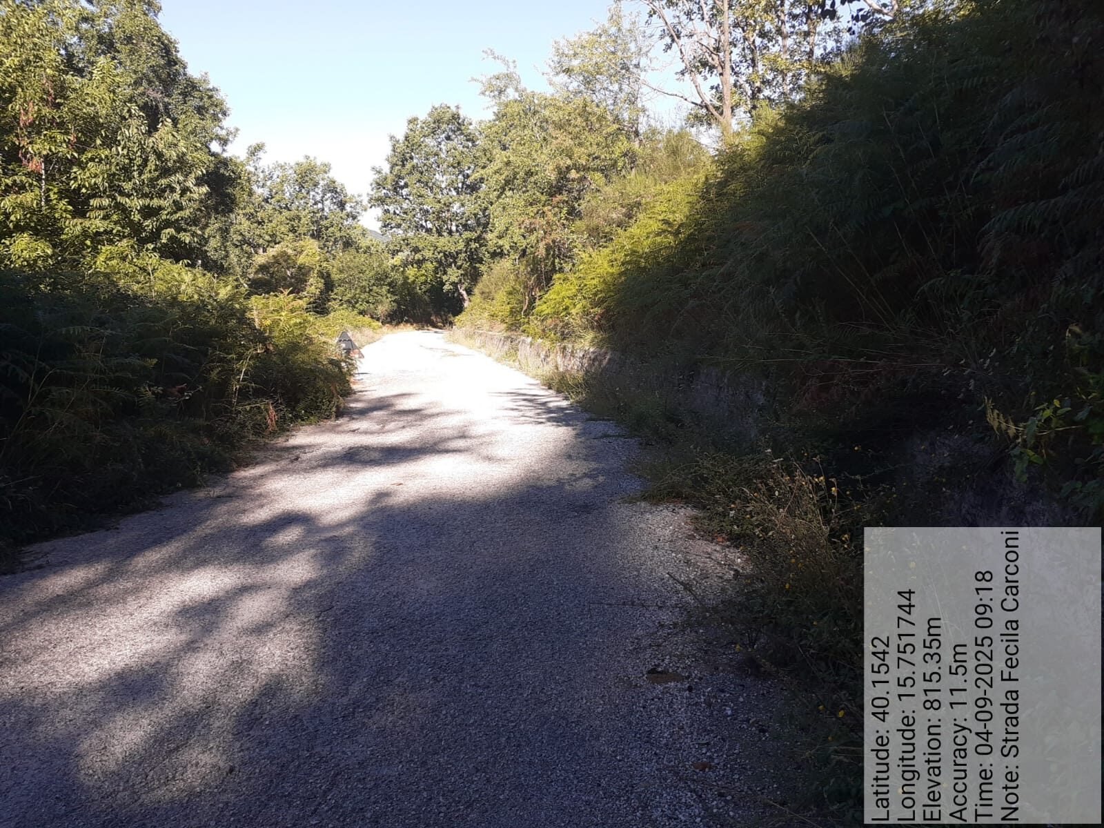 Galleria Fotografica Immagine