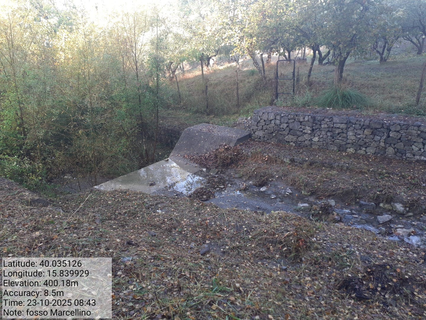 Galleria Fotografica Immagine