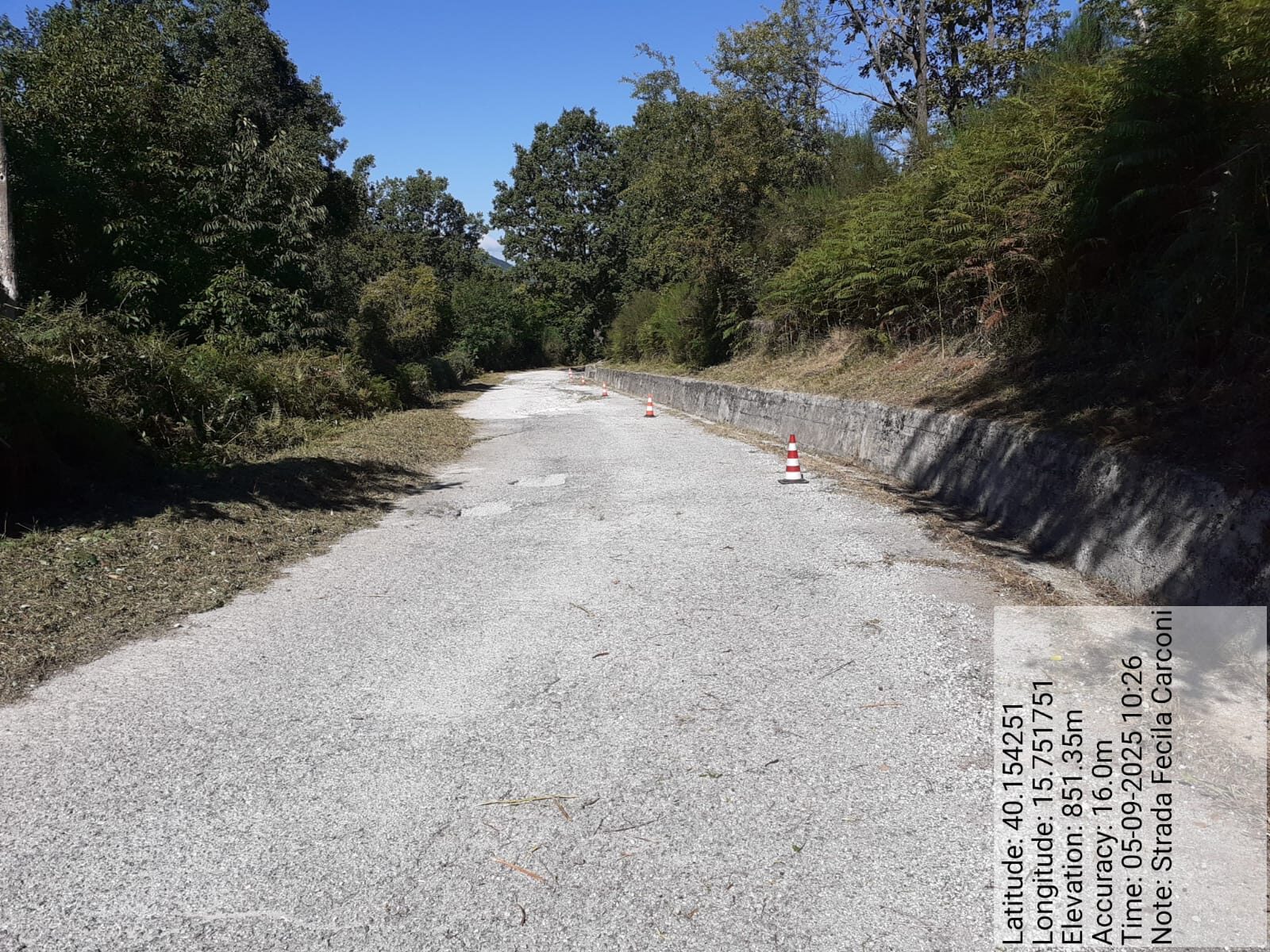 Galleria Fotografica Immagine