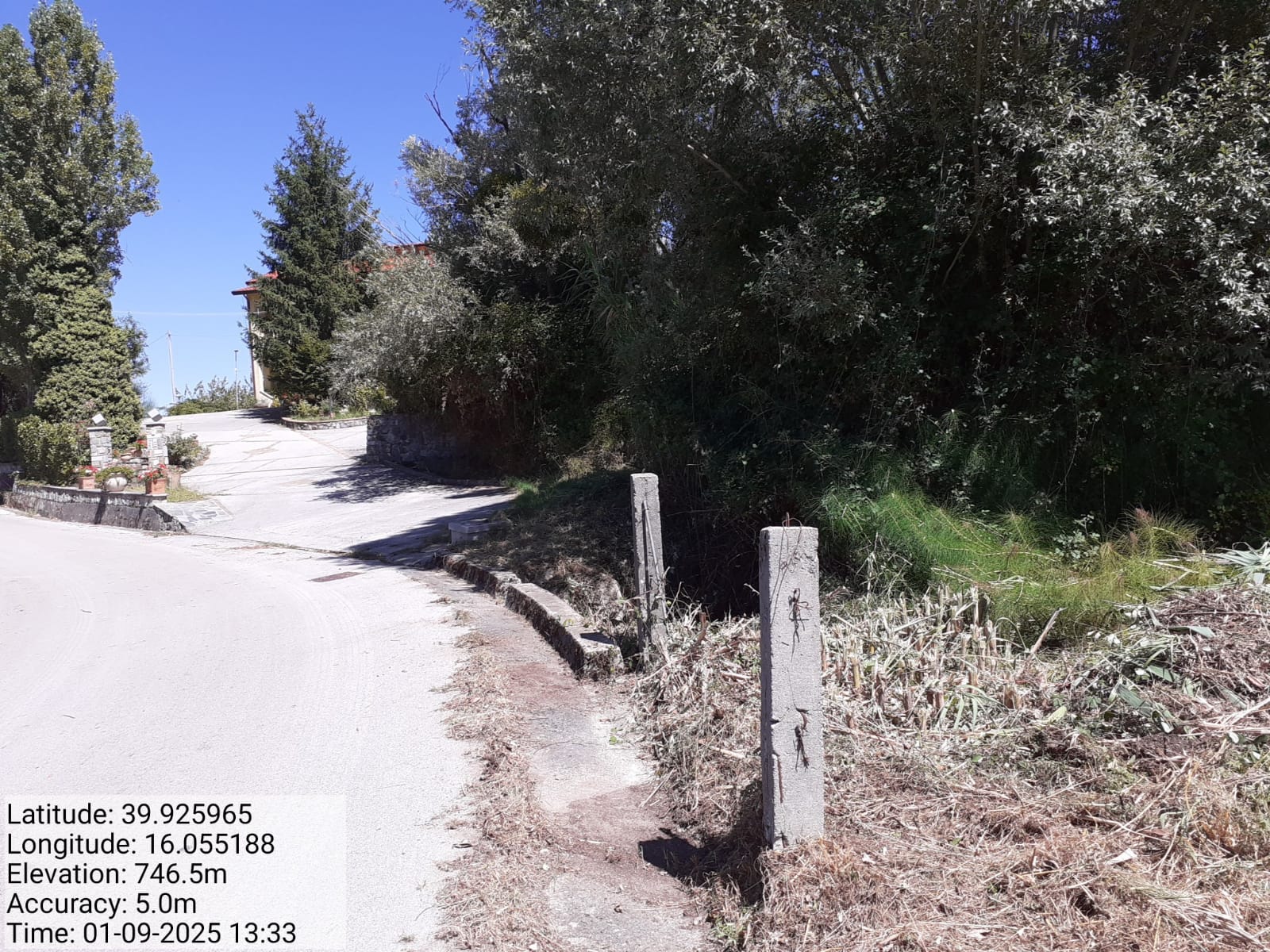 Galleria Fotografica Immagine