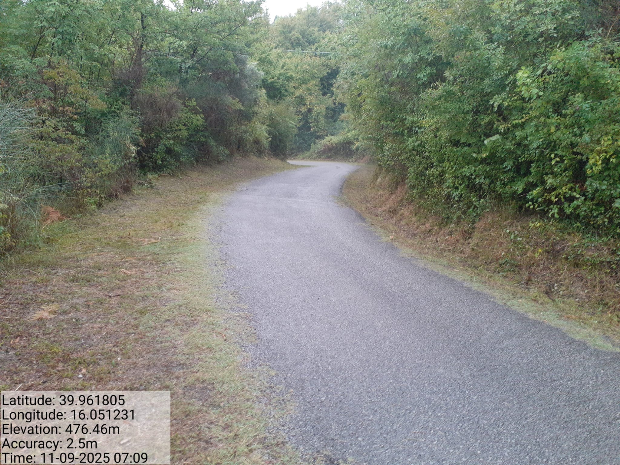 Galleria Fotografica Immagine