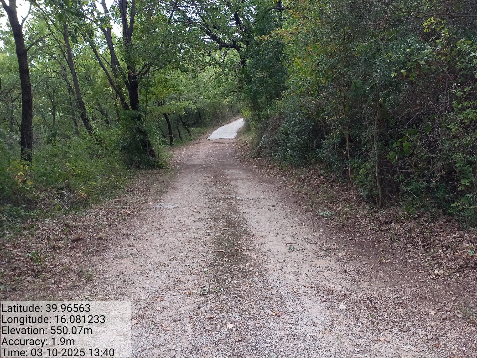 Galleria Fotografica Immagine