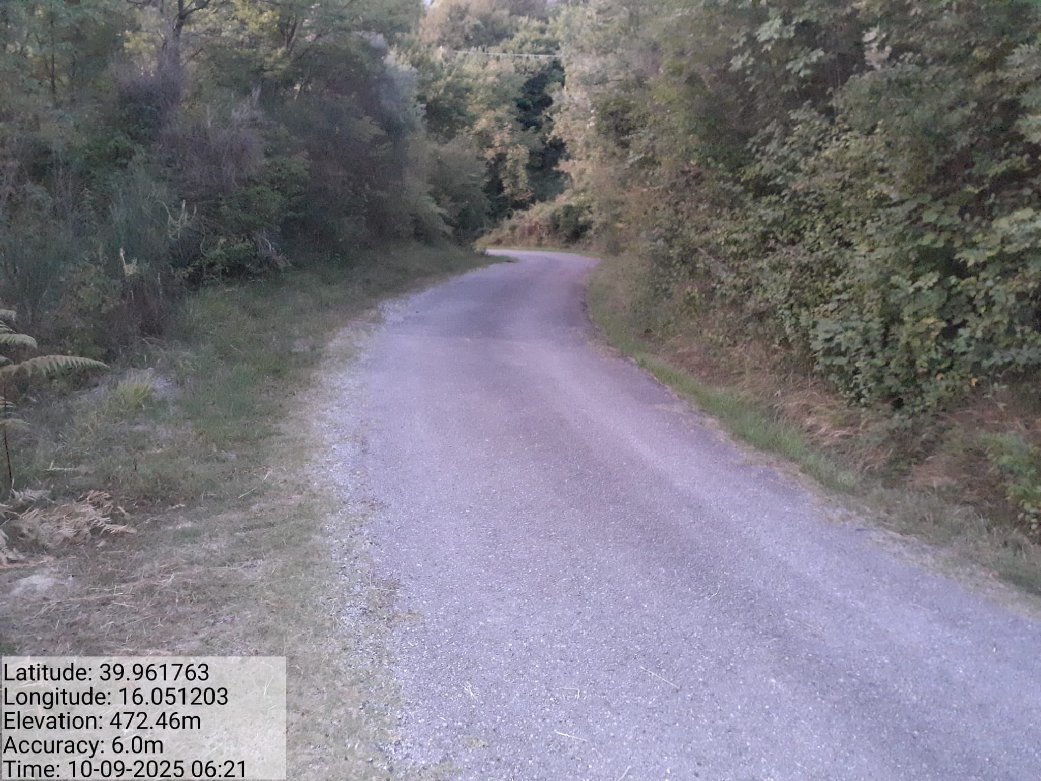 Galleria Fotografica Immagine