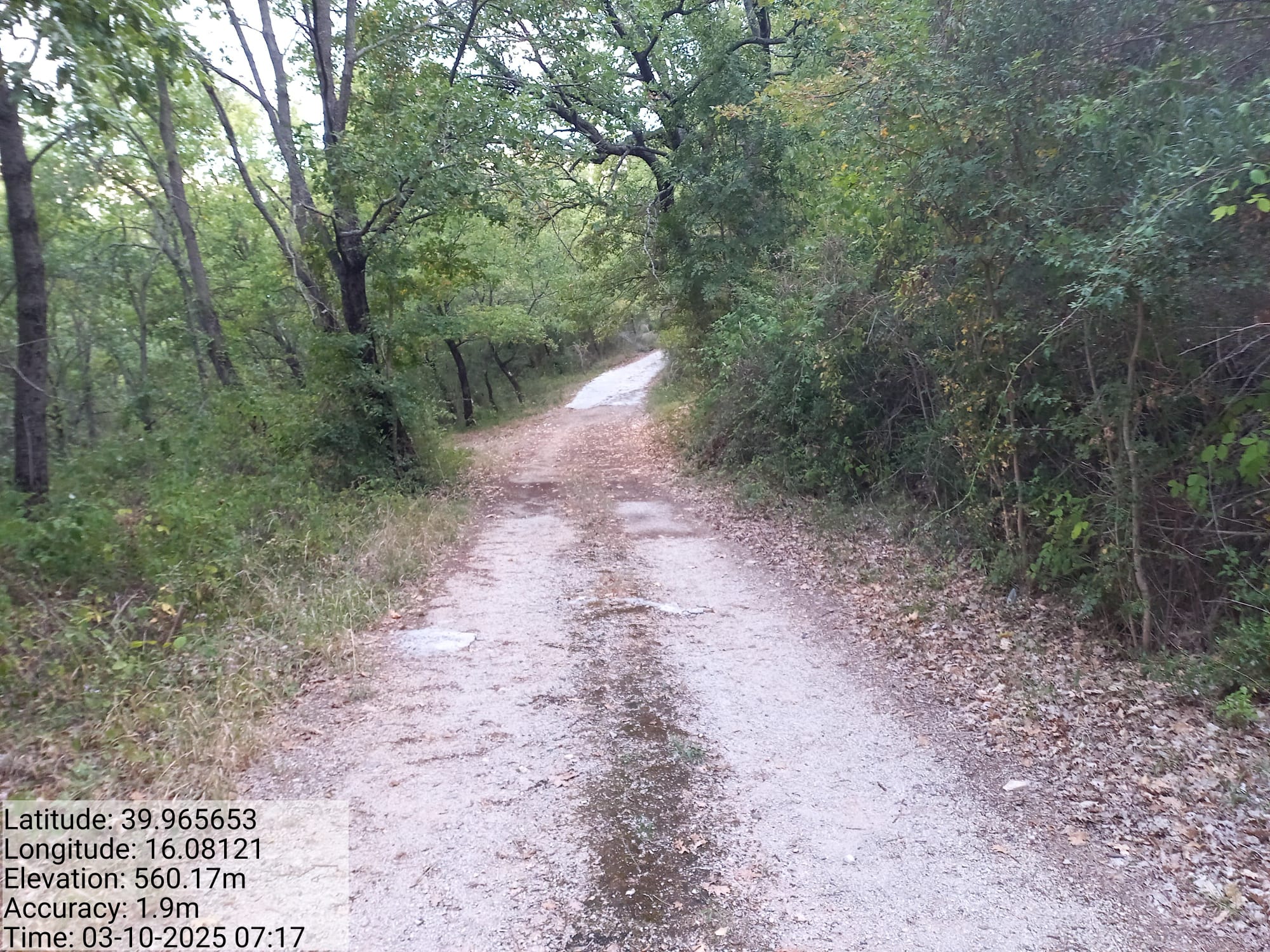 Galleria Fotografica Immagine