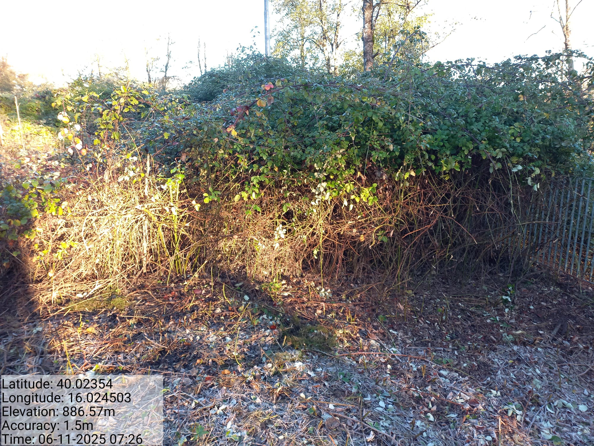 Galleria Fotografica Immagine