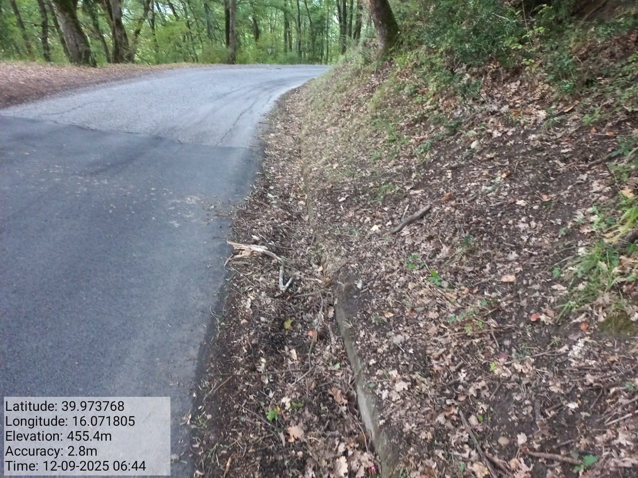 Galleria Fotografica Immagine