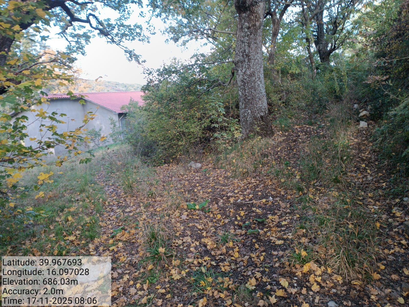 Galleria Fotografica Immagine