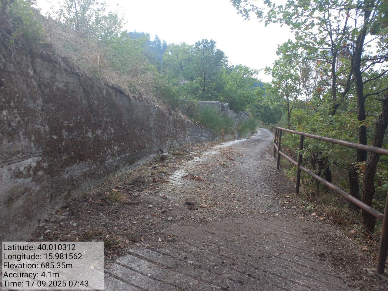 Galleria Fotografica Immagine