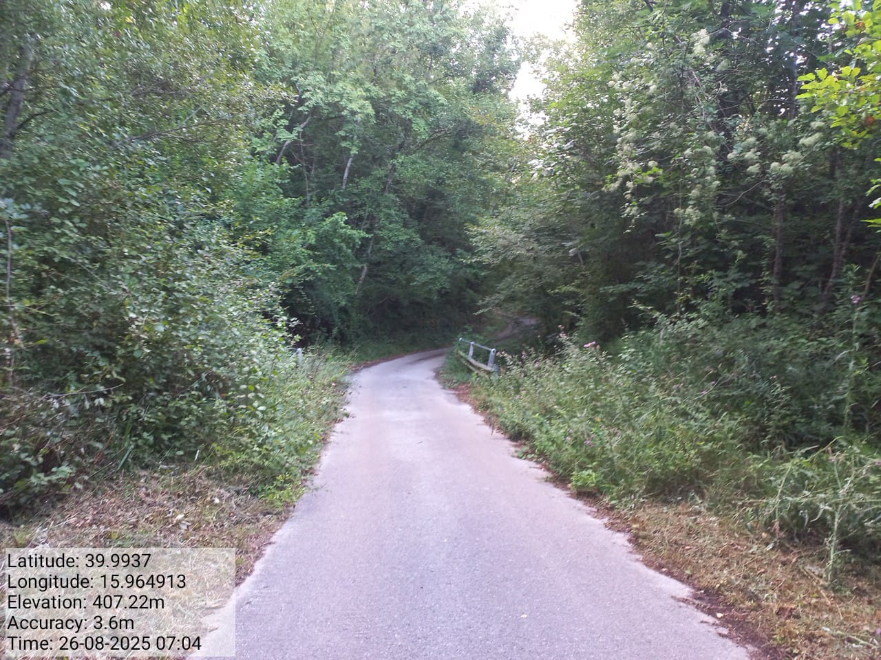 Galleria Fotografica Immagine