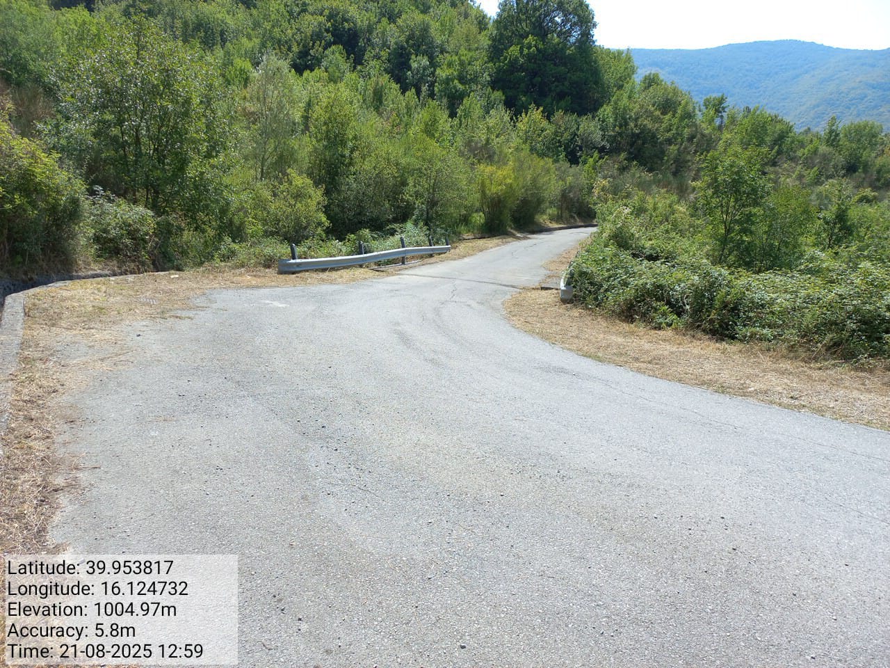 Galleria Fotografica Immagine