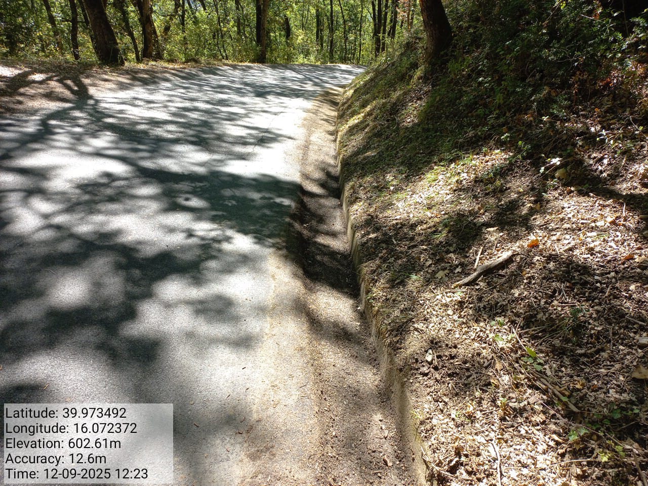 Galleria Fotografica Immagine