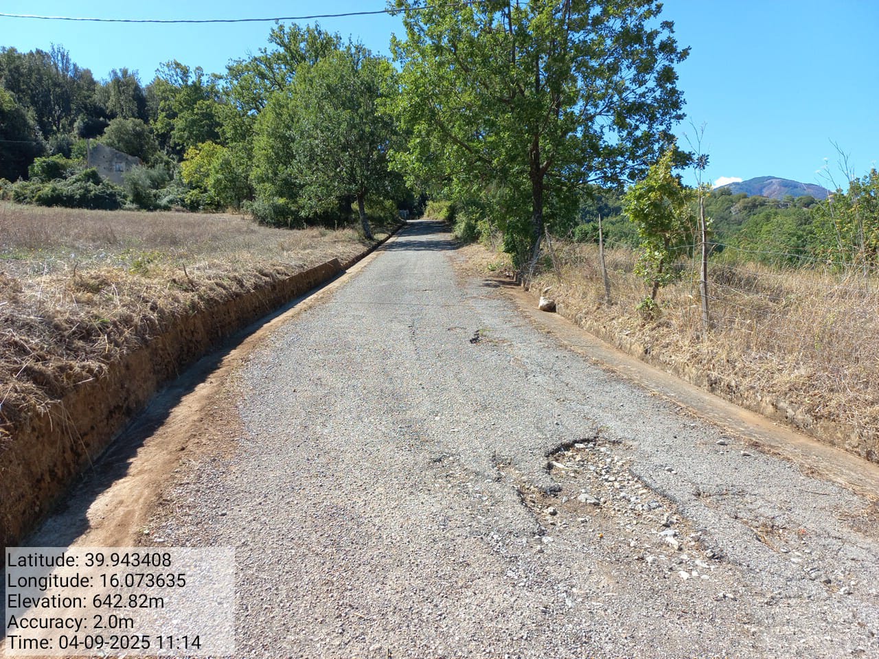 Galleria Fotografica Immagine