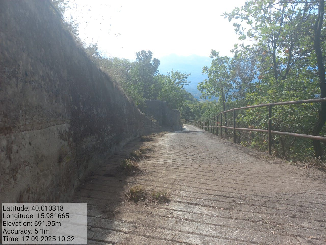 Galleria Fotografica Immagine