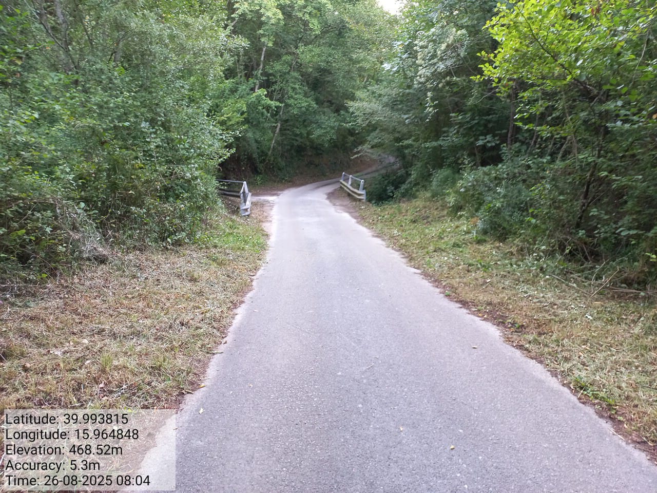 Galleria Fotografica Immagine