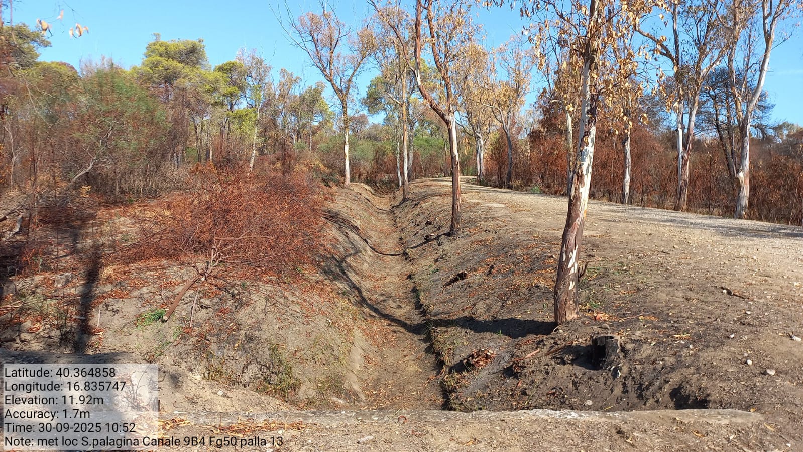 Galleria Fotografica Immagine