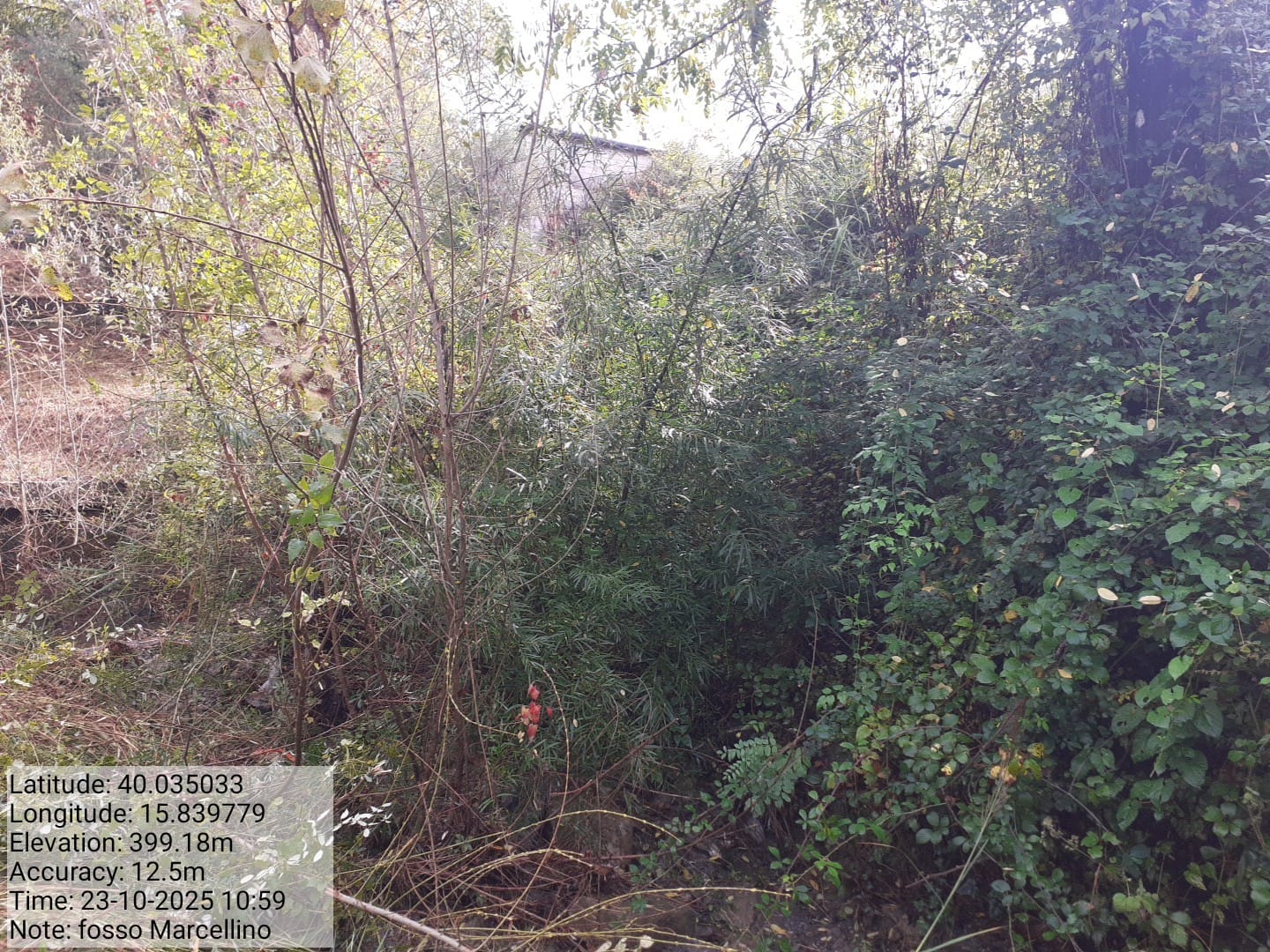 Galleria Fotografica Immagine