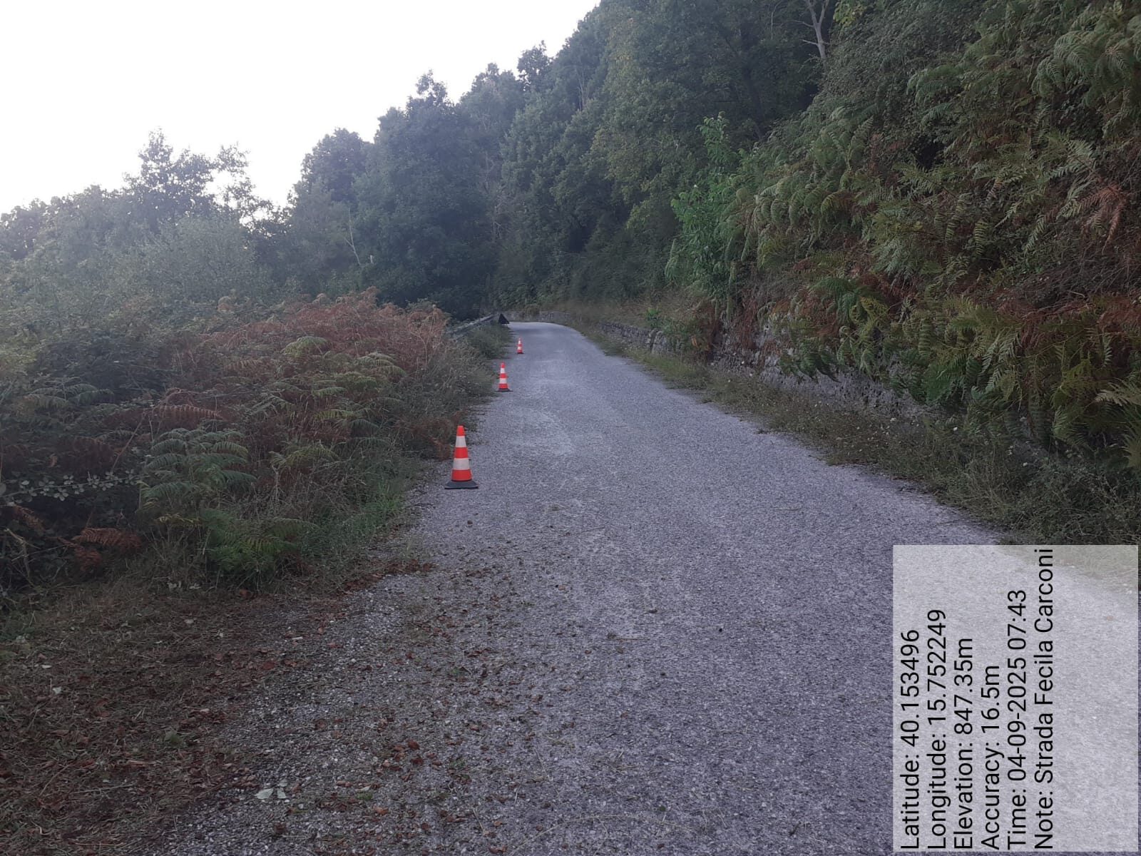 Galleria Fotografica Immagine