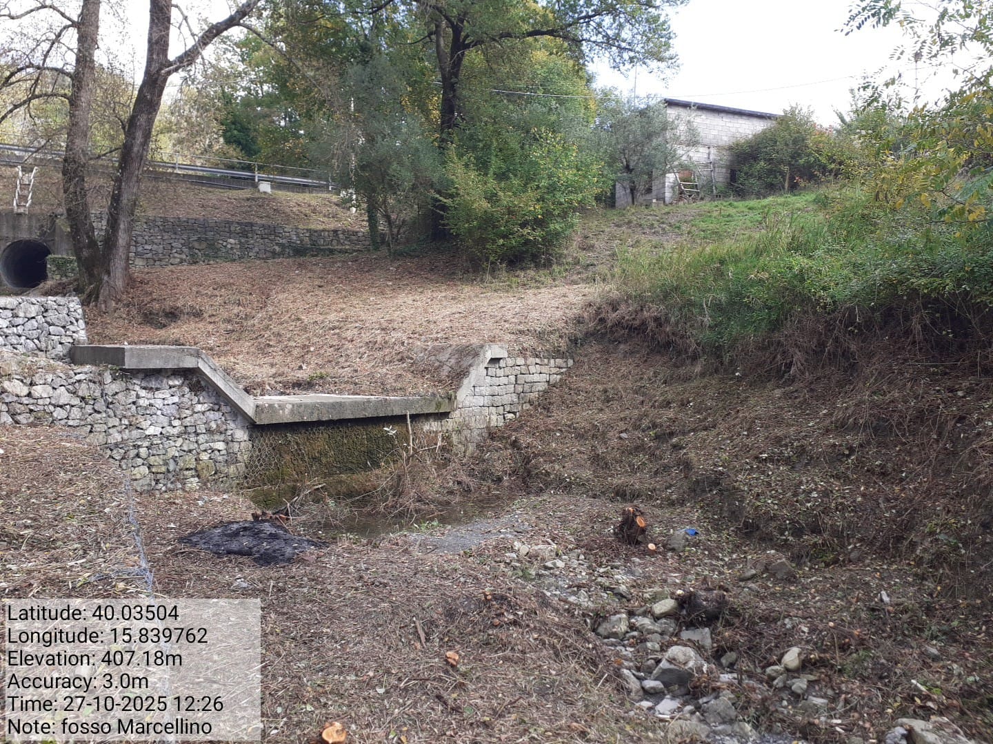 Galleria Fotografica Immagine