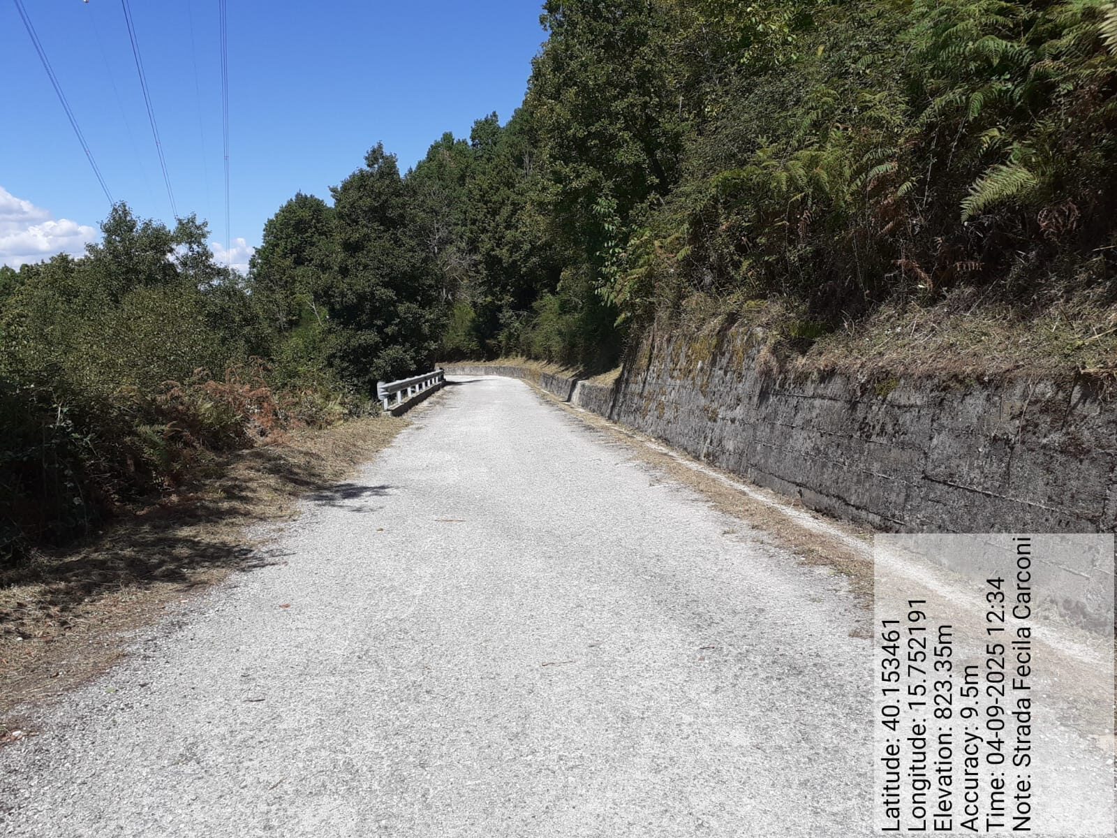 Galleria Fotografica Immagine