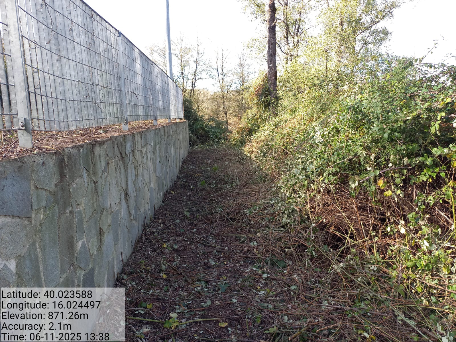 Galleria Fotografica Immagine