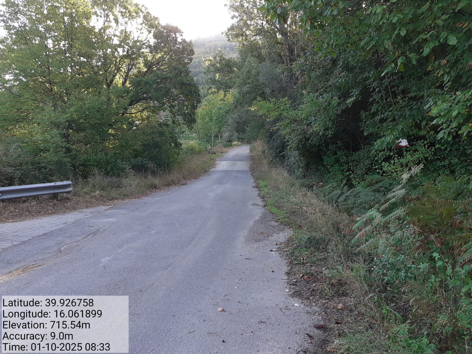 Galleria Fotografica Immagine