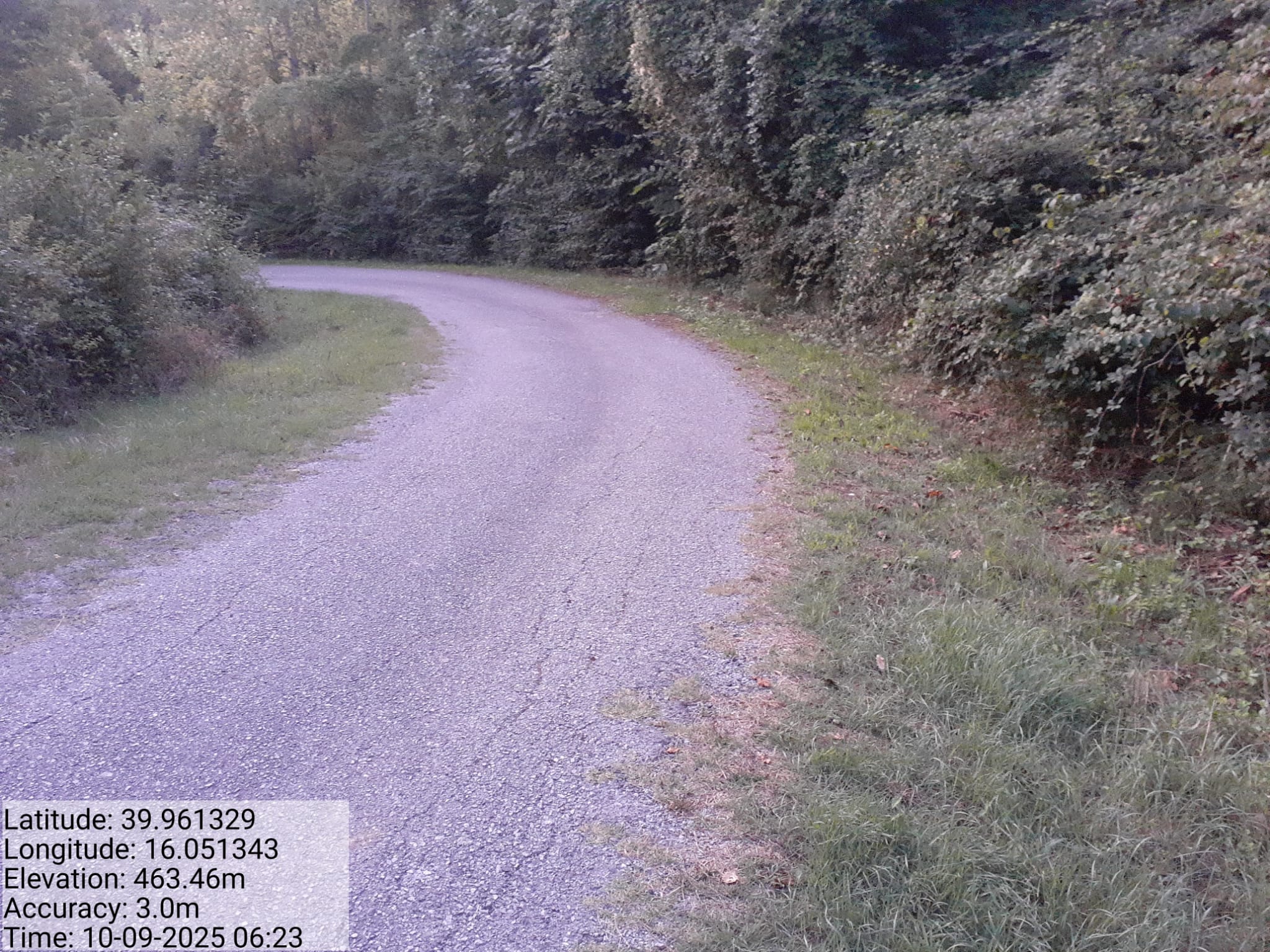 Galleria Fotografica Immagine