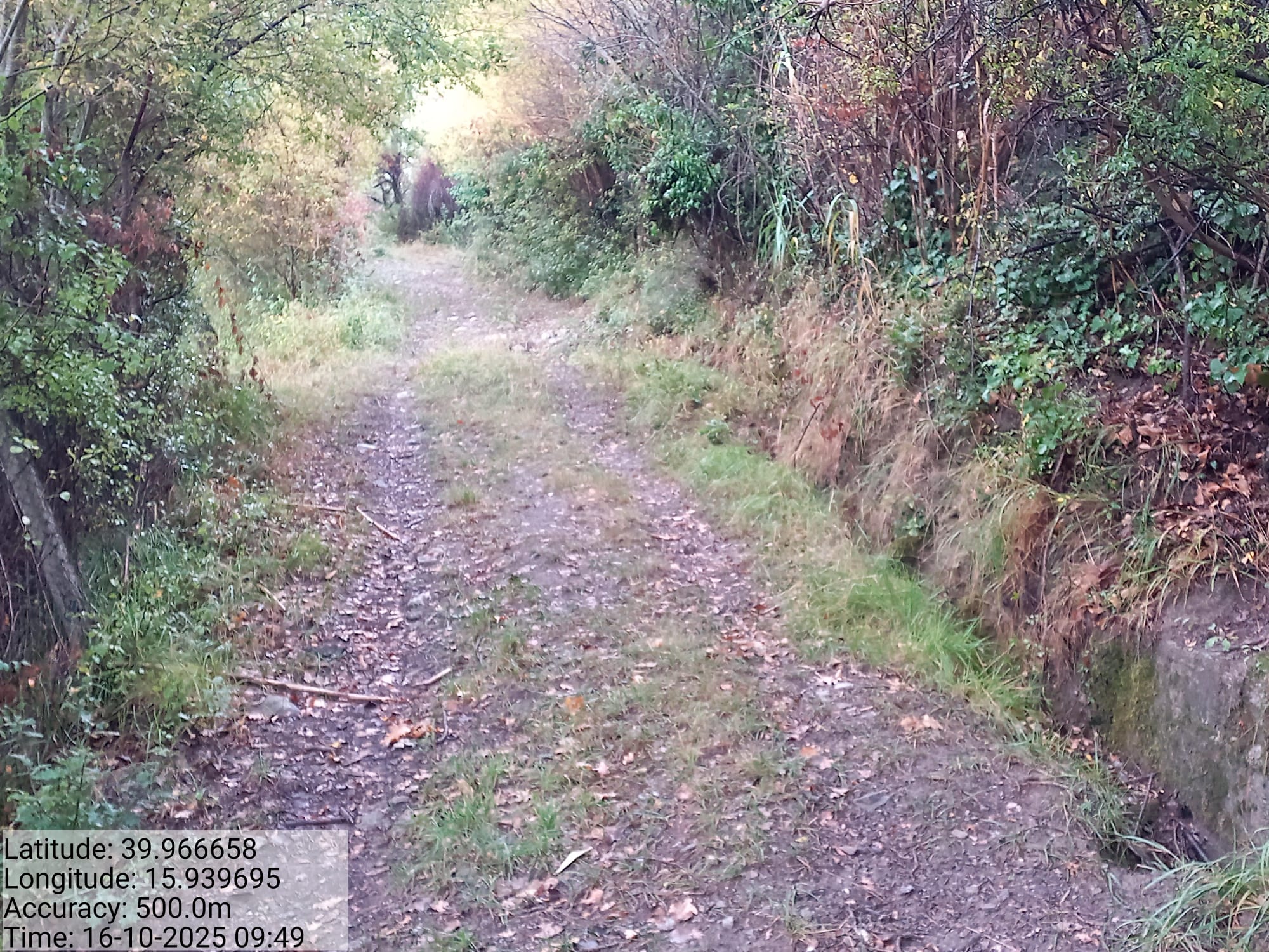 Galleria Fotografica Immagine