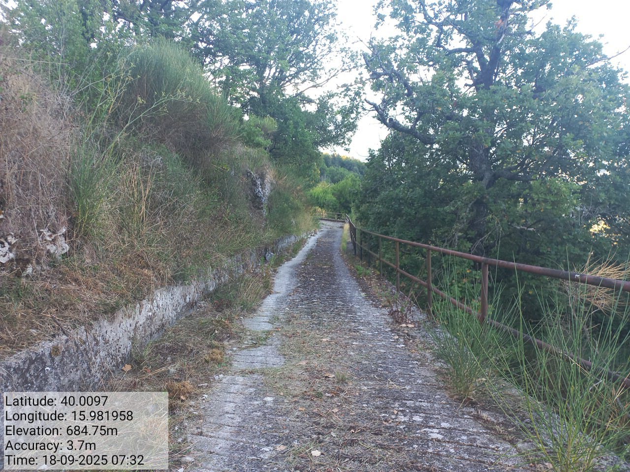 Galleria Fotografica Immagine