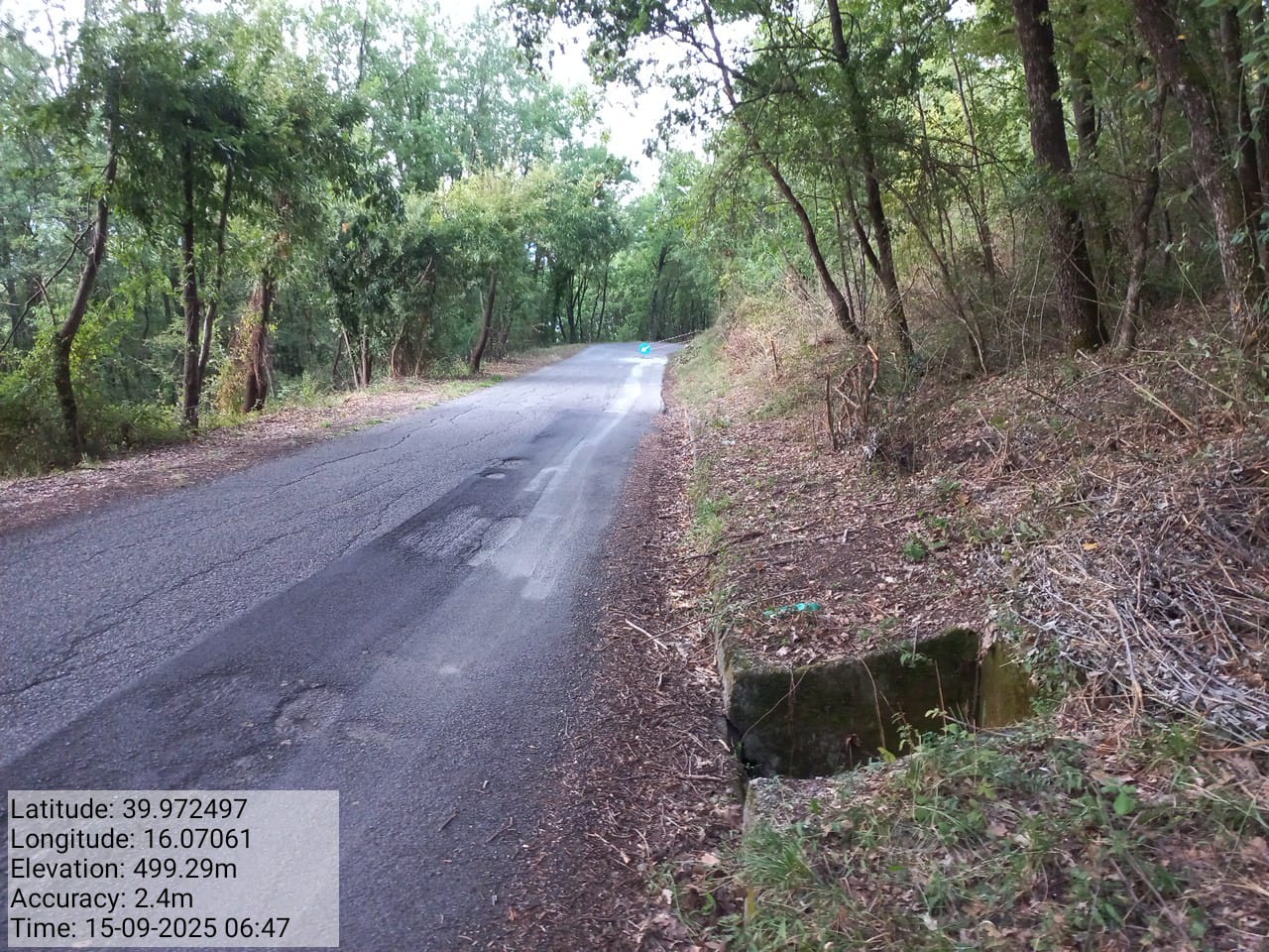 Galleria Fotografica Immagine