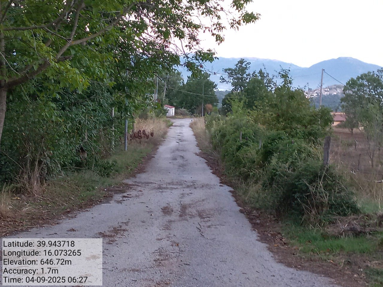 Galleria Fotografica Immagine