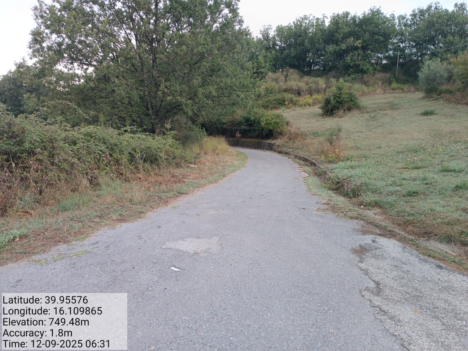 Galleria Fotografica Immagine