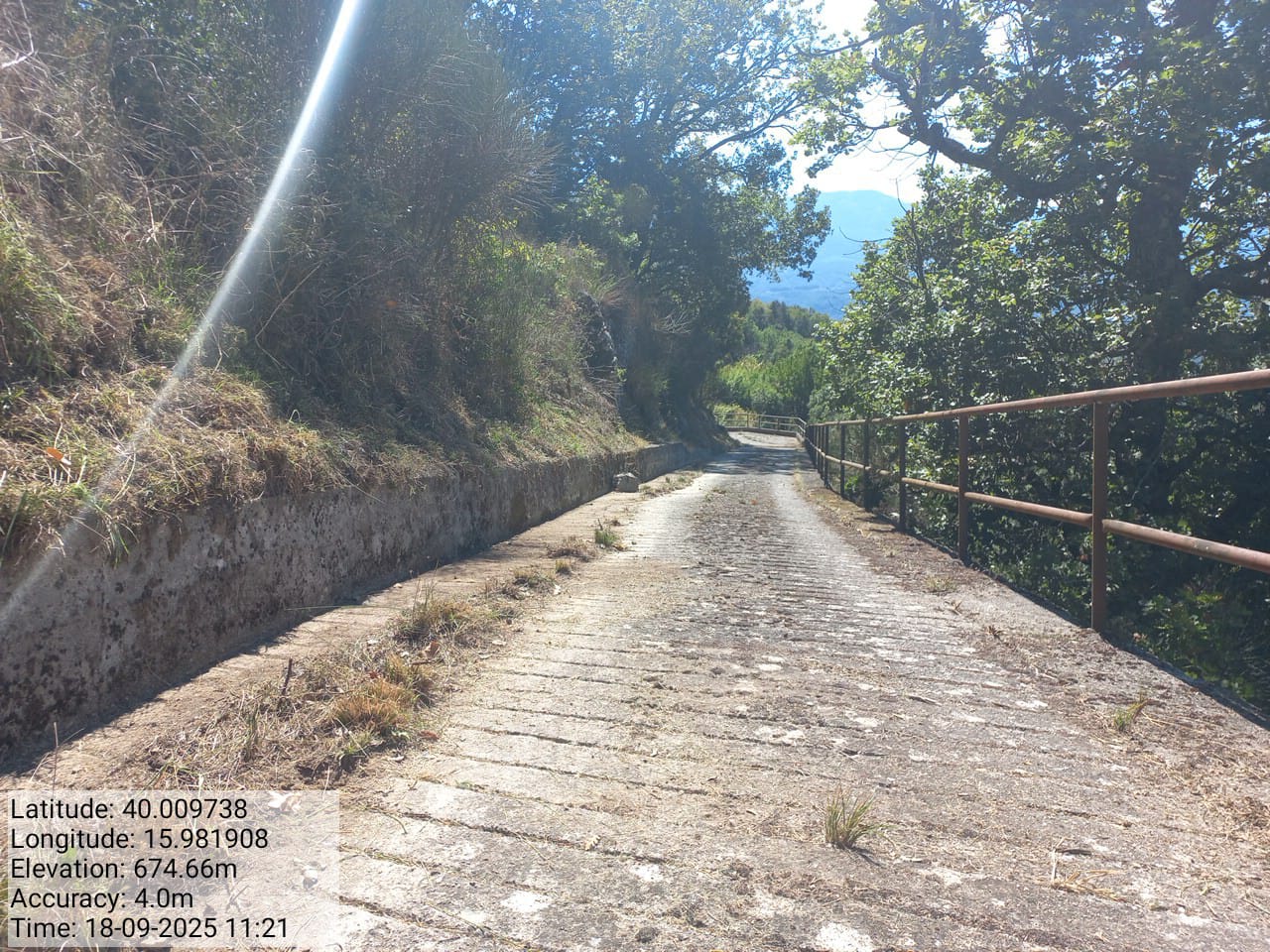 Galleria Fotografica Immagine