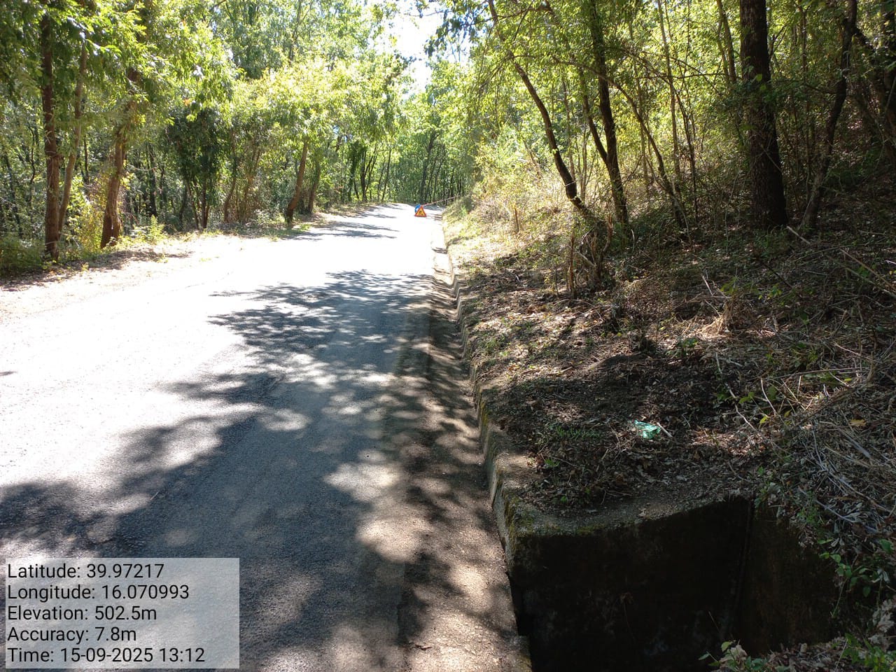 Galleria Fotografica Immagine