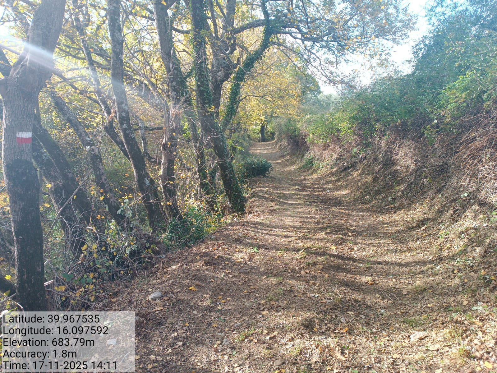 Galleria Fotografica Immagine