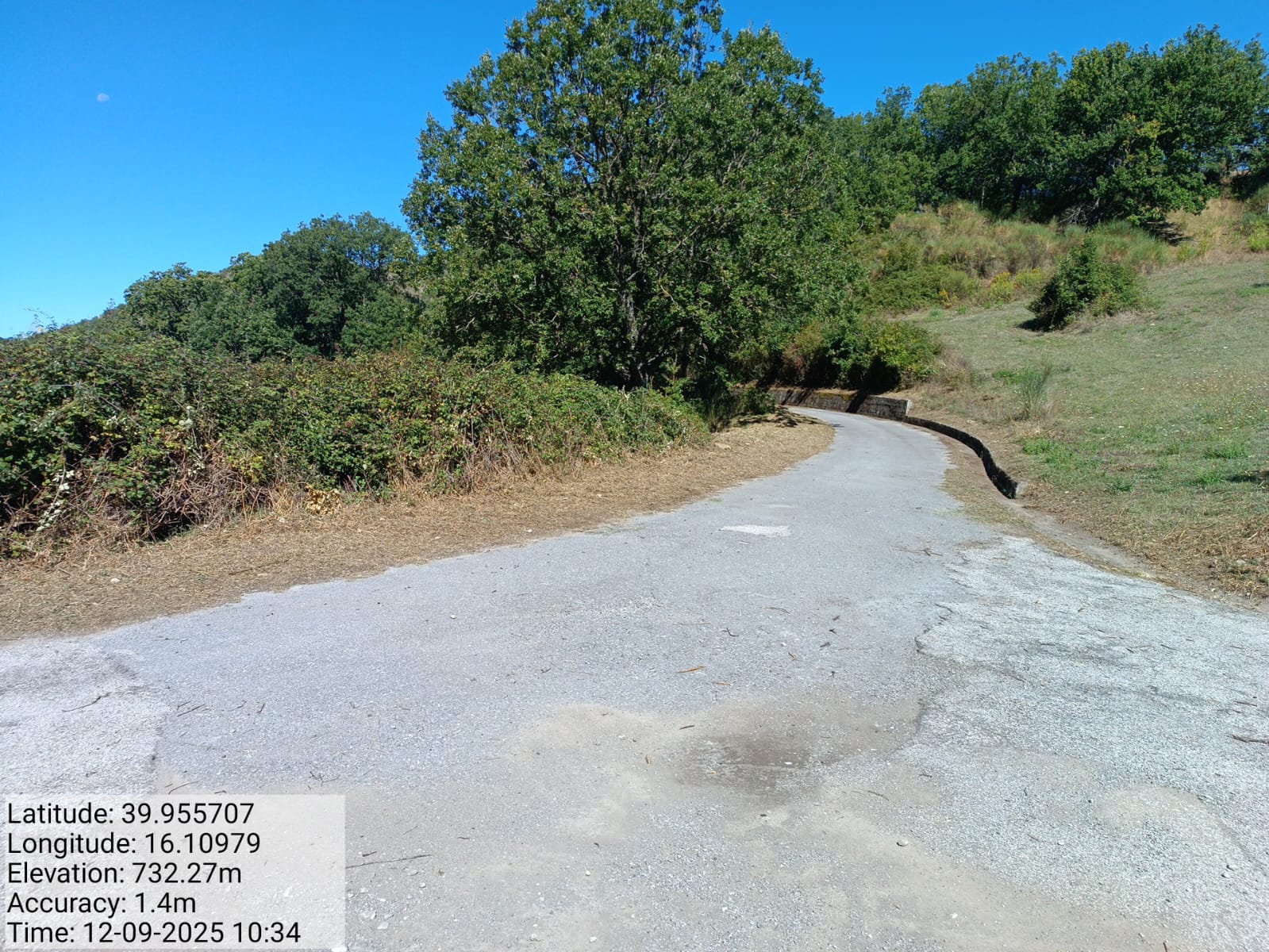 Galleria Fotografica Immagine