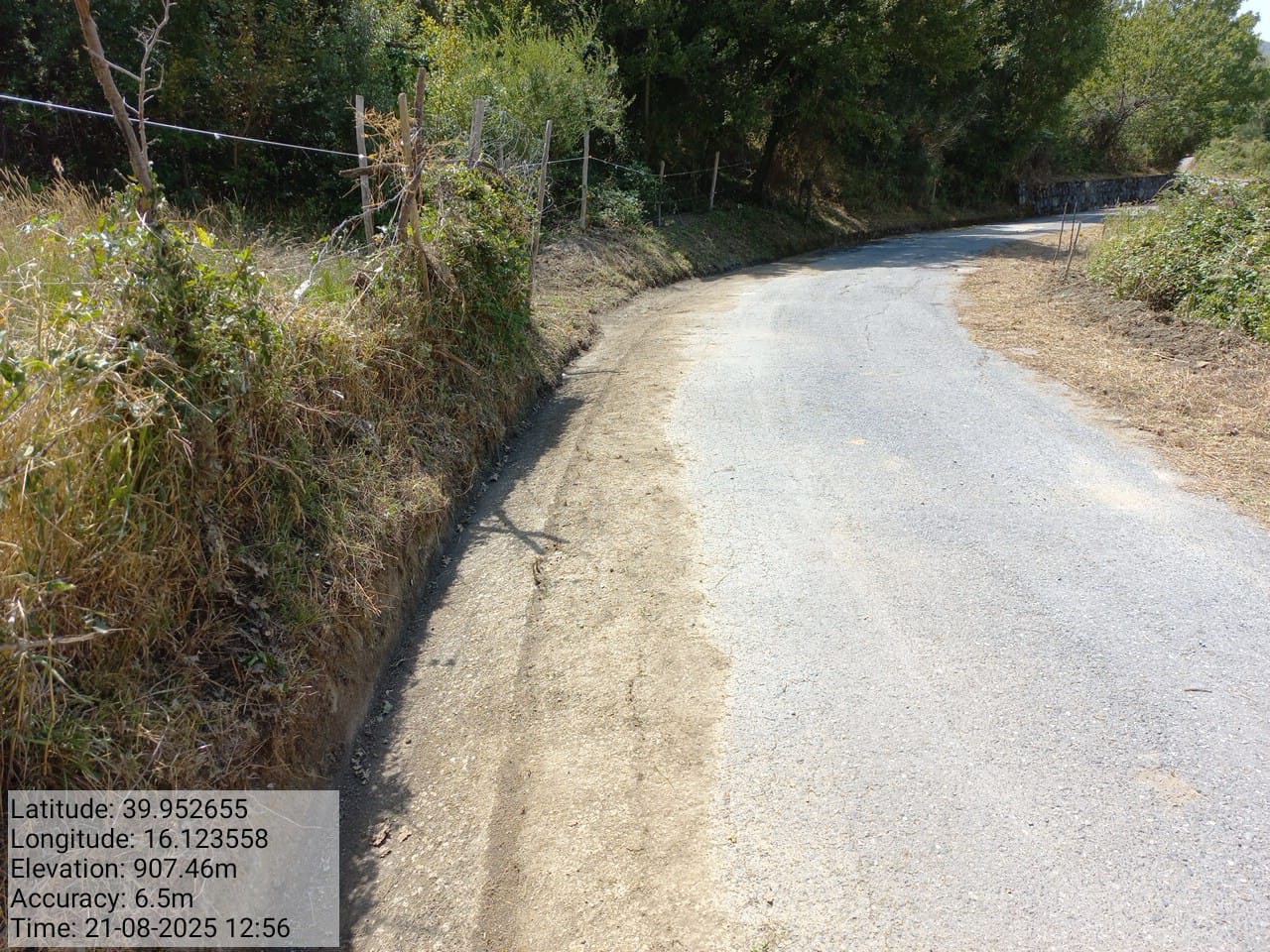 Galleria Fotografica Immagine