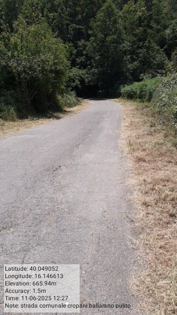 Galleria Fotografica Immagine