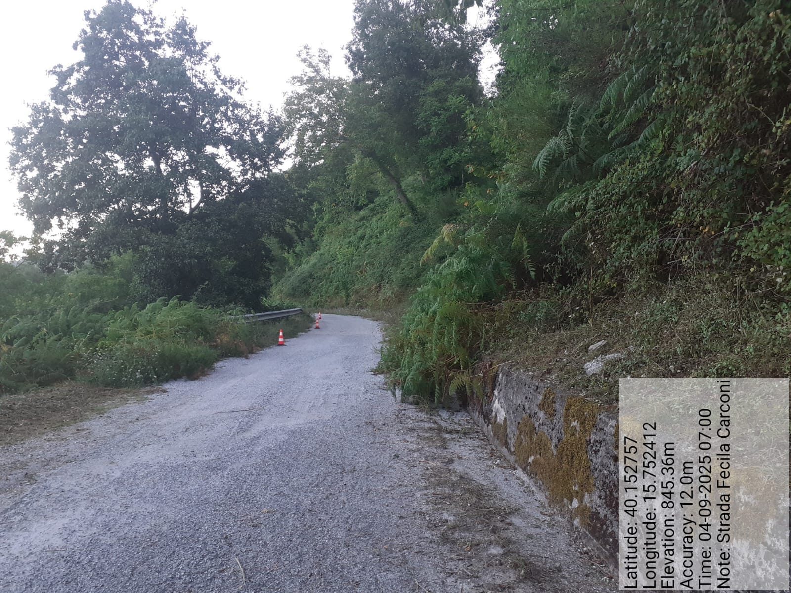 Galleria Fotografica Immagine